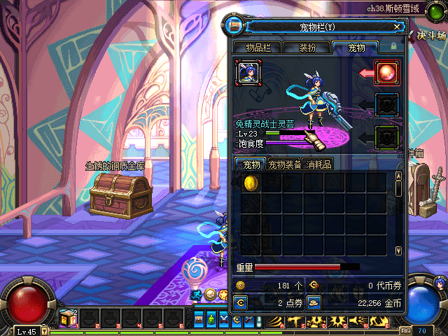 dnf60版本春节宠物.png